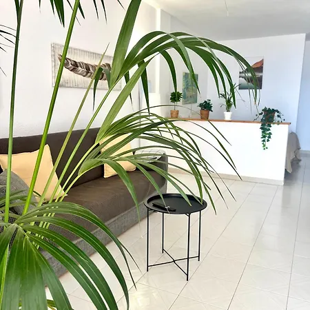 Palm Vista Appartement *