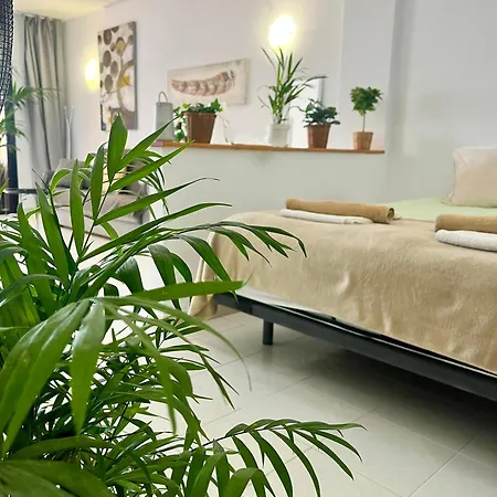 Appartement Palm Vista