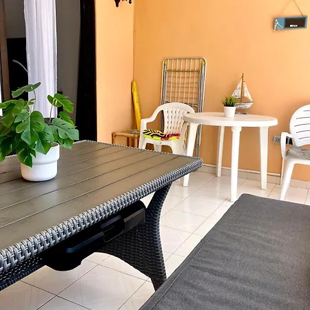 Appartement Palm Vista *